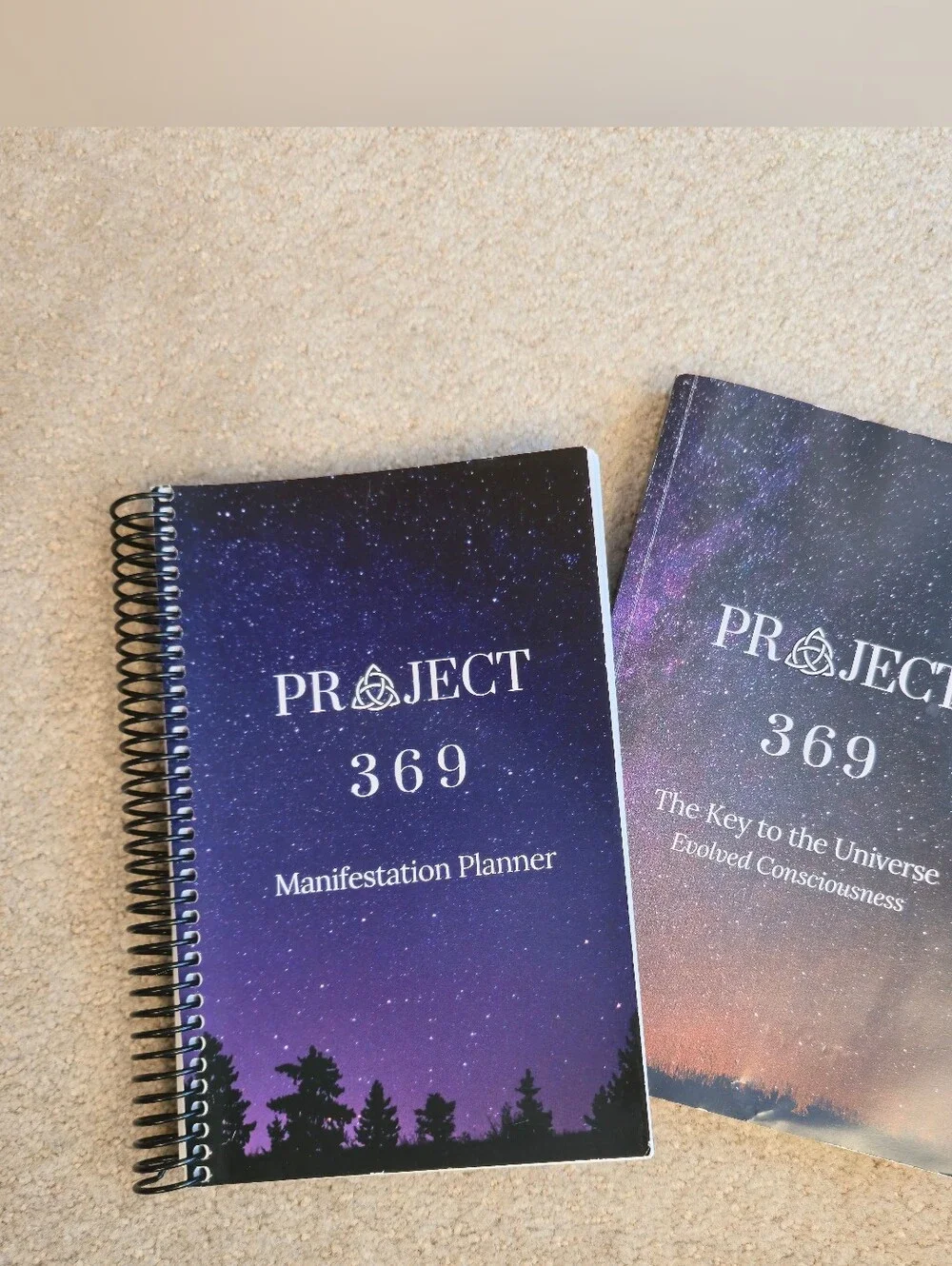 PROJECT 369 Manifestation Planner And Book David Kasneci New